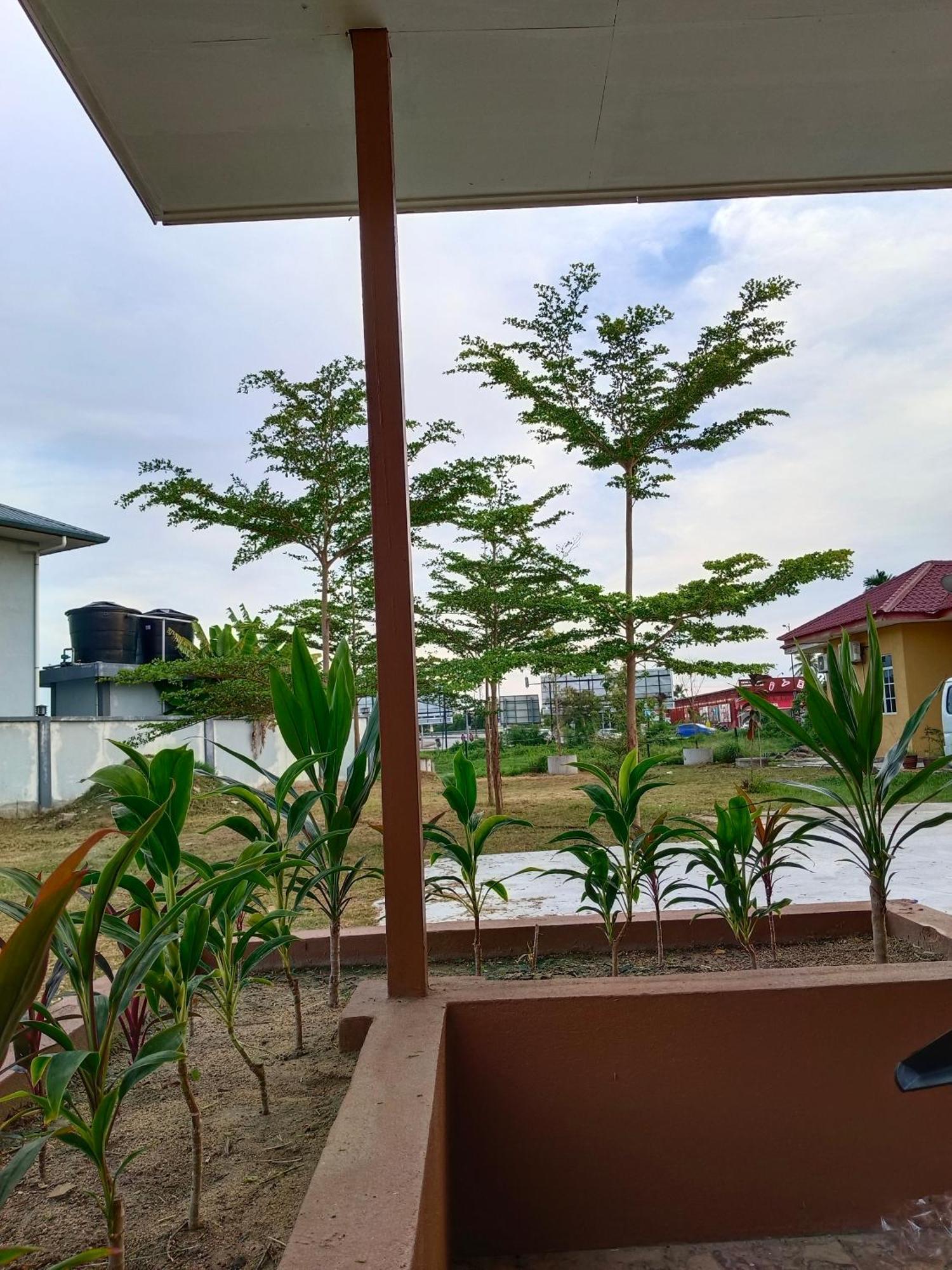 Alfa Roomstay Pantai Cenang (Langkawi) Exterior foto